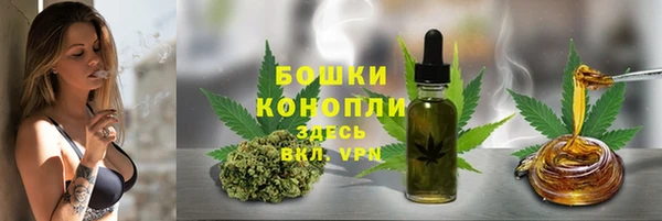 2c-b Новозыбков